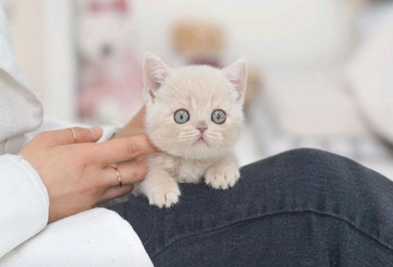 f34fe1fc68a9c344203b6f5772304a1c_1762415733_0483.jpg f34fe1fc68a9c344203b6f5772304a1c_1762415733_0483.jpg