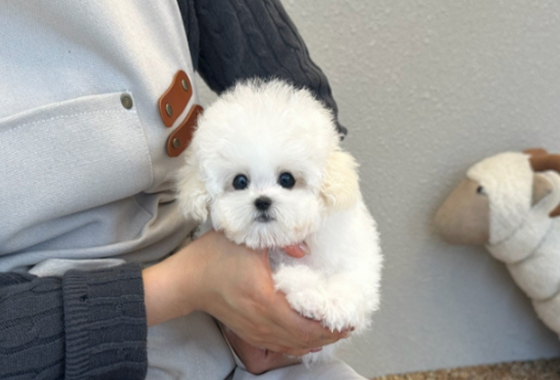 f34fe1fc68a9c344203b6f5772304a1c_1762415798_8703.jpg f34fe1fc68a9c344203b6f5772304a1c_1762415798_8703.jpg