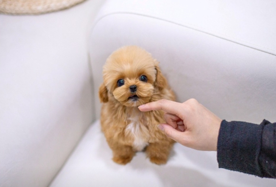 f34fe1fc68a9c344203b6f5772304a1c_1762416061_3058.jpg f34fe1fc68a9c344203b6f5772304a1c_1762416061_3058.jpg