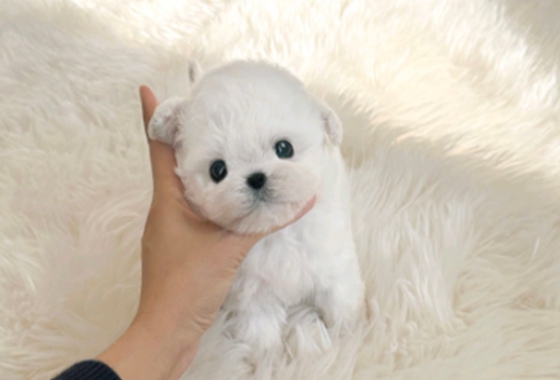 f34fe1fc68a9c344203b6f5772304a1c_1762416108_3206.jpg f34fe1fc68a9c344203b6f5772304a1c_1762416108_3206.jpg