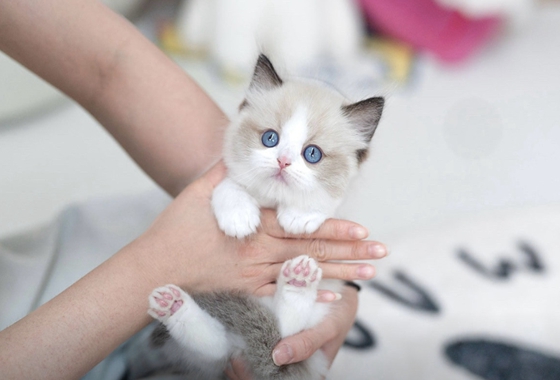 f34fe1fc68a9c344203b6f5772304a1c_1762416147_7155.jpg f34fe1fc68a9c344203b6f5772304a1c_1762416147_7155.jpg