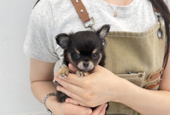 f34fe1fc68a9c344203b6f5772304a1c_1762416207_2982.jpg f34fe1fc68a9c344203b6f5772304a1c_1762416207_2982.jpg