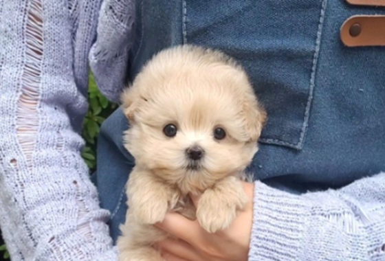 f34fe1fc68a9c344203b6f5772304a1c_1762416299_9947.jpg f34fe1fc68a9c344203b6f5772304a1c_1762416299_9947.jpg