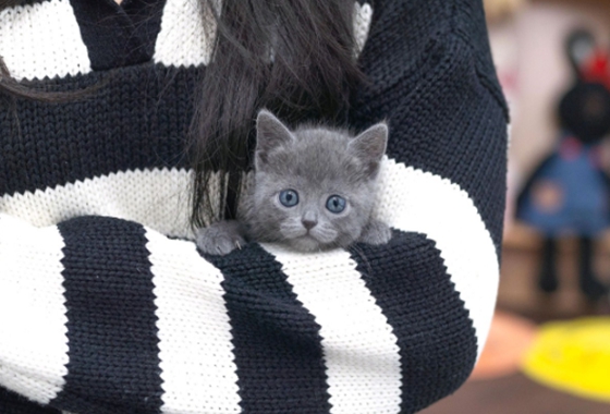 f34fe1fc68a9c344203b6f5772304a1c_1762416341_1453.jpg f34fe1fc68a9c344203b6f5772304a1c_1762416341_1453.jpg