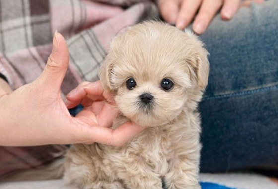 f34fe1fc68a9c344203b6f5772304a1c_1762416363_0344.jpg f34fe1fc68a9c344203b6f5772304a1c_1762416363_0344.jpg