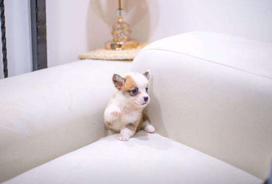 f34fe1fc68a9c344203b6f5772304a1c_1762416386_6966.jpg f34fe1fc68a9c344203b6f5772304a1c_1762416386_6966.jpg