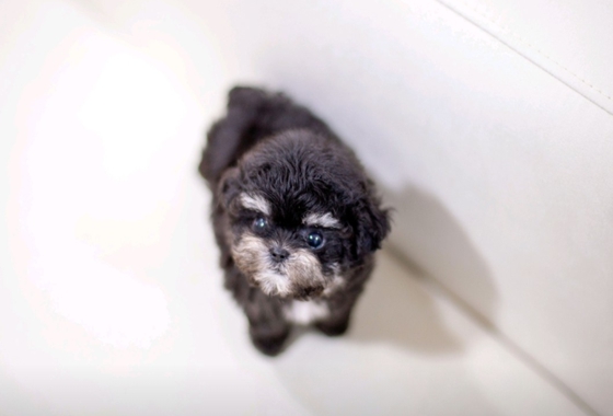 f34fe1fc68a9c344203b6f5772304a1c_1762416437_3659.jpg f34fe1fc68a9c344203b6f5772304a1c_1762416437_3659.jpg