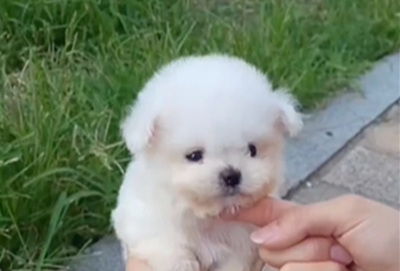 f34fe1fc68a9c344203b6f5772304a1c_1762416462_9474.jpg f34fe1fc68a9c344203b6f5772304a1c_1762416462_9474.jpg