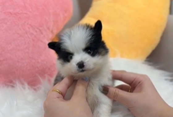 f34fe1fc68a9c344203b6f5772304a1c_1762416525_8267.jpg f34fe1fc68a9c344203b6f5772304a1c_1762416525_8267.jpg