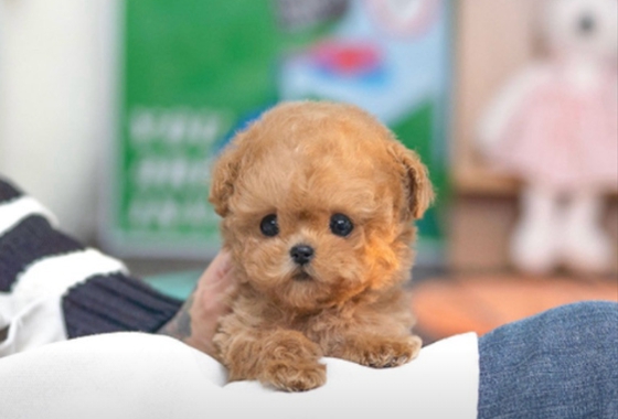 f34fe1fc68a9c344203b6f5772304a1c_1762416550_0042.jpg f34fe1fc68a9c344203b6f5772304a1c_1762416550_0042.jpg