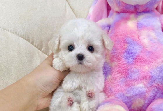 f34fe1fc68a9c344203b6f5772304a1c_1762416594_5854.jpg f34fe1fc68a9c344203b6f5772304a1c_1762416594_5854.jpg