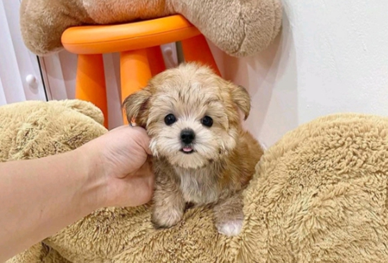 f34fe1fc68a9c344203b6f5772304a1c_1762416649_938.jpg f34fe1fc68a9c344203b6f5772304a1c_1762416649_938.jpg