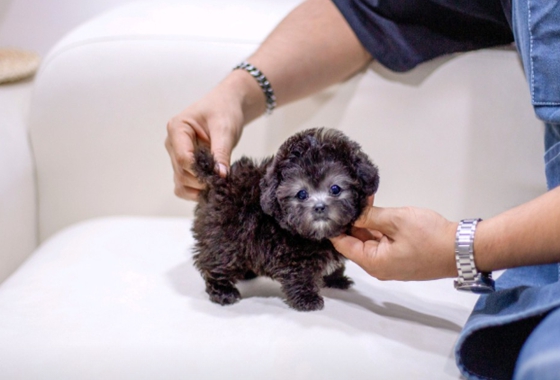 f34fe1fc68a9c344203b6f5772304a1c_1762416716_8241.jpg f34fe1fc68a9c344203b6f5772304a1c_1762416716_8241.jpg