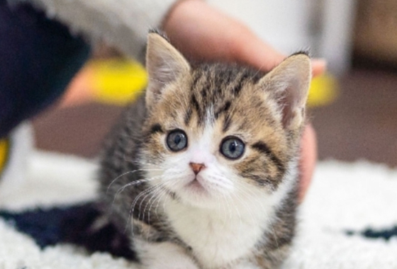 f34fe1fc68a9c344203b6f5772304a1c_1762416759_4434.jpg f34fe1fc68a9c344203b6f5772304a1c_1762416759_4434.jpg