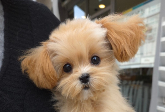 f34fe1fc68a9c344203b6f5772304a1c_1762416818_2637.jpg f34fe1fc68a9c344203b6f5772304a1c_1762416818_2637.jpg