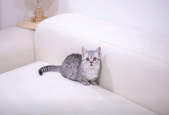 f34fe1fc68a9c344203b6f5772304a1c_1762416925_2763.jpg f34fe1fc68a9c344203b6f5772304a1c_1762416925_2763.jpg