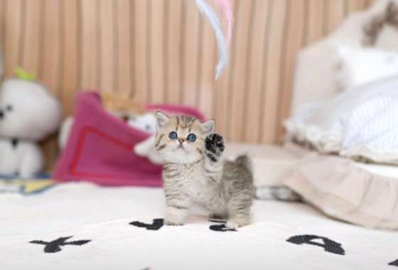 f34fe1fc68a9c344203b6f5772304a1c_1762417891_1203.jpg f34fe1fc68a9c344203b6f5772304a1c_1762417891_1203.jpg