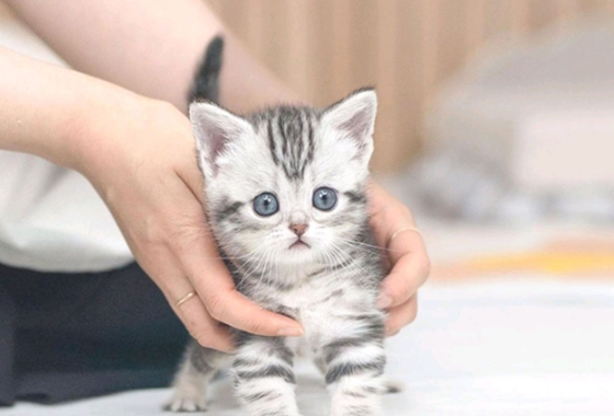 f34fe1fc68a9c344203b6f5772304a1c_1762417999_4525.jpg f34fe1fc68a9c344203b6f5772304a1c_1762417999_4525.jpg