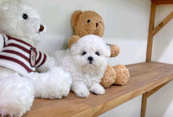 f34fe1fc68a9c344203b6f5772304a1c_1762418104_202.jpg f34fe1fc68a9c344203b6f5772304a1c_1762418104_202.jpg