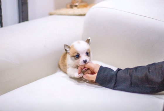 f34fe1fc68a9c344203b6f5772304a1c_1762418128_5141.jpg f34fe1fc68a9c344203b6f5772304a1c_1762418128_5141.jpg