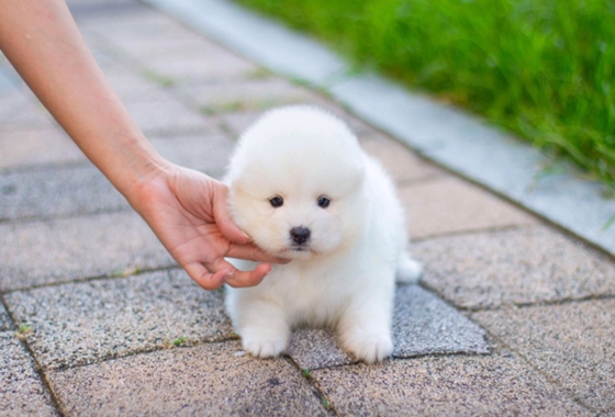 f34fe1fc68a9c344203b6f5772304a1c_1762418148_153.jpg f34fe1fc68a9c344203b6f5772304a1c_1762418148_153.jpg