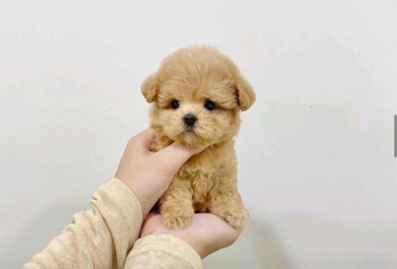 f34fe1fc68a9c344203b6f5772304a1c_1762418208_5236.jpg f34fe1fc68a9c344203b6f5772304a1c_1762418208_5236.jpg