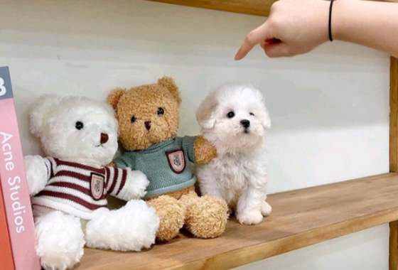 f34fe1fc68a9c344203b6f5772304a1c_1762418283_086.jpg f34fe1fc68a9c344203b6f5772304a1c_1762418283_086.jpg