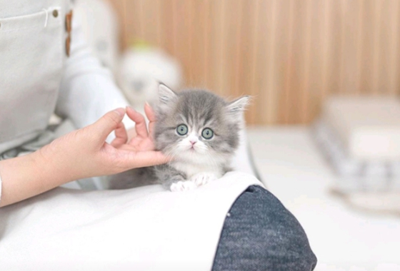 f34fe1fc68a9c344203b6f5772304a1c_1762418312_6391.jpg f34fe1fc68a9c344203b6f5772304a1c_1762418312_6391.jpg