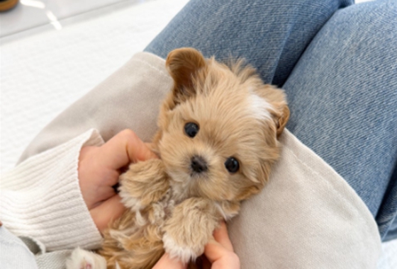 f34fe1fc68a9c344203b6f5772304a1c_1762418374_1654.jpg f34fe1fc68a9c344203b6f5772304a1c_1762418374_1654.jpg