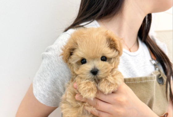 f34fe1fc68a9c344203b6f5772304a1c_1762418414_0739.jpg f34fe1fc68a9c344203b6f5772304a1c_1762418414_0739.jpg