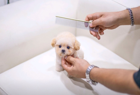 f34fe1fc68a9c344203b6f5772304a1c_1762418432_7947.jpg f34fe1fc68a9c344203b6f5772304a1c_1762418432_7947.jpg