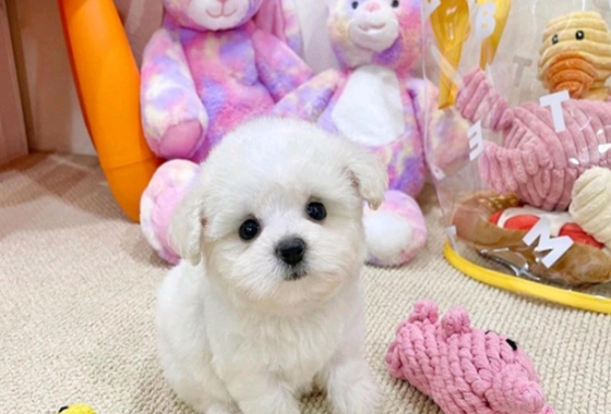 f34fe1fc68a9c344203b6f5772304a1c_1762418478_0421.jpg f34fe1fc68a9c344203b6f5772304a1c_1762418478_0421.jpg