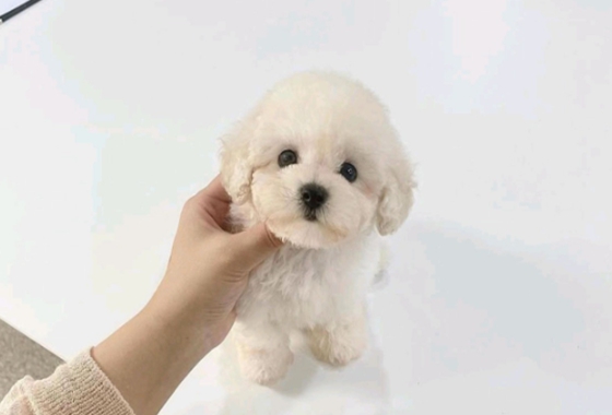 f34fe1fc68a9c344203b6f5772304a1c_1762418501_049.jpg f34fe1fc68a9c344203b6f5772304a1c_1762418501_049.jpg