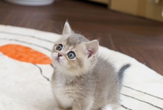 f34fe1fc68a9c344203b6f5772304a1c_1762418529_1617.jpg f34fe1fc68a9c344203b6f5772304a1c_1762418529_1617.jpg