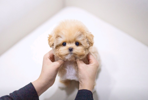 f34fe1fc68a9c344203b6f5772304a1c_1762418568_3193.jpg f34fe1fc68a9c344203b6f5772304a1c_1762418568_3193.jpg