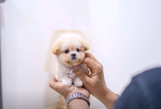 f34fe1fc68a9c344203b6f5772304a1c_1762418666_1372.jpg f34fe1fc68a9c344203b6f5772304a1c_1762418666_1372.jpg