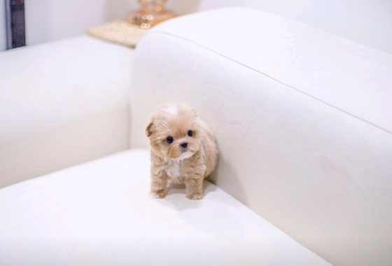 f34fe1fc68a9c344203b6f5772304a1c_1762418692_6546.jpg f34fe1fc68a9c344203b6f5772304a1c_1762418692_6546.jpg