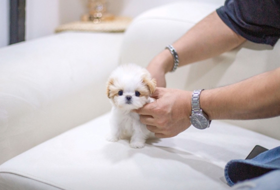 f34fe1fc68a9c344203b6f5772304a1c_1762418719_6269.jpg f34fe1fc68a9c344203b6f5772304a1c_1762418719_6269.jpg