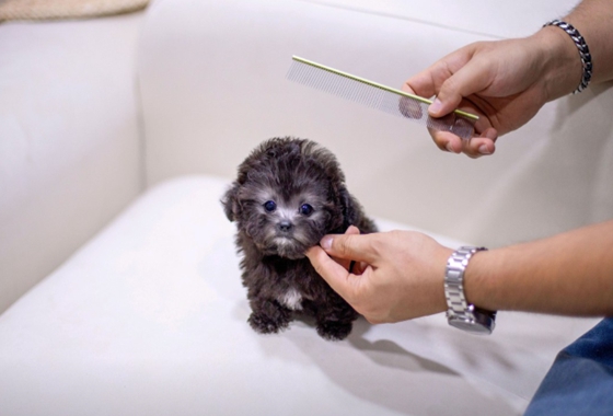 f34fe1fc68a9c344203b6f5772304a1c_1762418740_7237.jpg f34fe1fc68a9c344203b6f5772304a1c_1762418740_7237.jpg