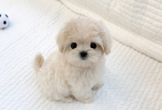 f34fe1fc68a9c344203b6f5772304a1c_1762418833_1121.jpg f34fe1fc68a9c344203b6f5772304a1c_1762418833_1121.jpg