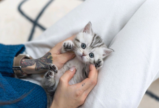 f34fe1fc68a9c344203b6f5772304a1c_1762418855_4502.jpg f34fe1fc68a9c344203b6f5772304a1c_1762418855_4502.jpg