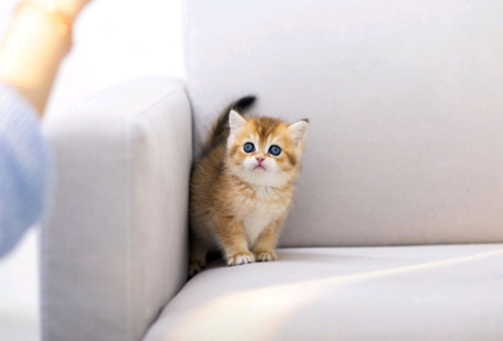 f34fe1fc68a9c344203b6f5772304a1c_1762418902_3804.jpg f34fe1fc68a9c344203b6f5772304a1c_1762418902_3804.jpg