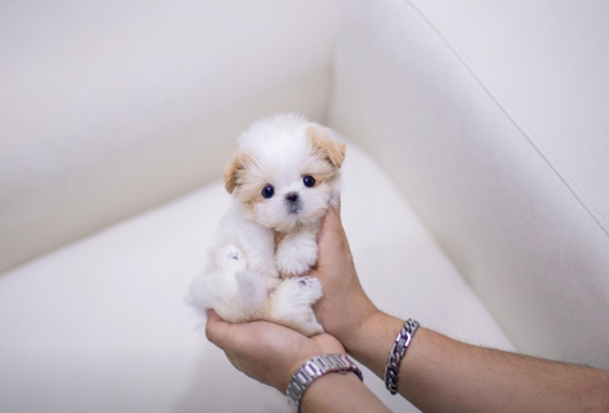 f34fe1fc68a9c344203b6f5772304a1c_1762418936_0701.jpg f34fe1fc68a9c344203b6f5772304a1c_1762418936_0701.jpg