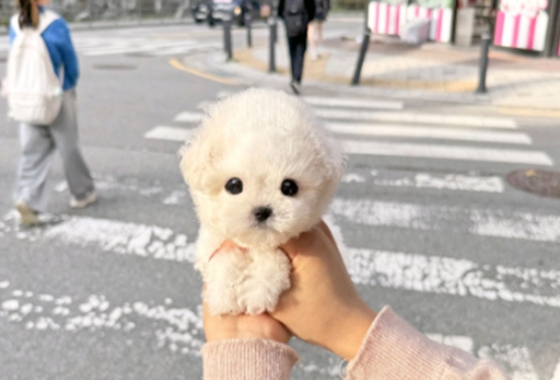 f34fe1fc68a9c344203b6f5772304a1c_1762418962_3207.jpg f34fe1fc68a9c344203b6f5772304a1c_1762418962_3207.jpg