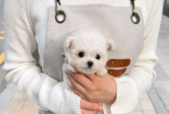 f34fe1fc68a9c344203b6f5772304a1c_1762419012_3282.jpg f34fe1fc68a9c344203b6f5772304a1c_1762419012_3282.jpg