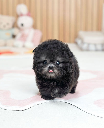 0547ad5a8cf2ecaab73fed02cdc8ac5d_1765535130_0381.jpg 0547ad5a8cf2ecaab73fed02cdc8ac5d_1765535130_0381.jpg