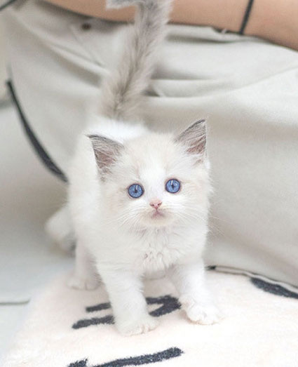 0547ad5a8cf2ecaab73fed02cdc8ac5d_1765535302_5815.jpg 0547ad5a8cf2ecaab73fed02cdc8ac5d_1765535302_5815.jpg