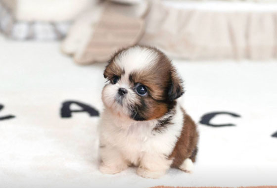 69a5f979cf74ad5921d4e6b6fb10036f_1765184314_1072.jpg 69a5f979cf74ad5921d4e6b6fb10036f_1765184314_1072.jpg