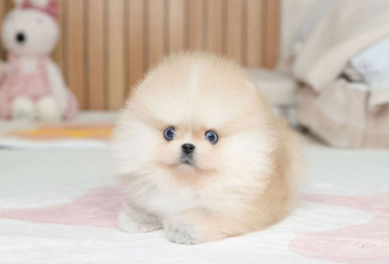 a0df5473dec0d77ce5b9f52c141ac441_1765619231_5912.jpg a0df5473dec0d77ce5b9f52c141ac441_1765619231_5912.jpg