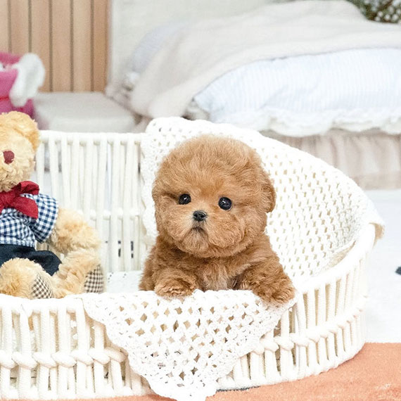 f7d50ebe2dec1ef8d91ee283c4620f90_1765104747_8166.jpg f7d50ebe2dec1ef8d91ee283c4620f90_1765104747_8166.jpg